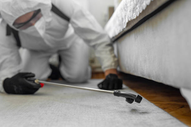 Professional Termite Control technician working in Onarga, IL