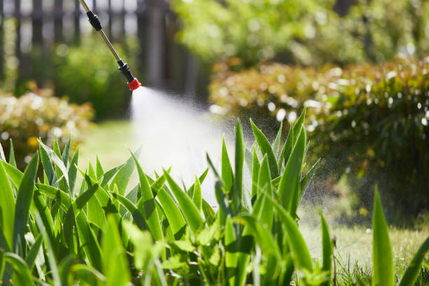 24/7 Emergency Termite Control experts in Onarga, IL