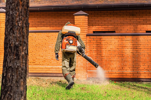 Trusted Mosquito Control service in Onarga, IL - Nex Pest Control